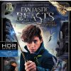 [USADO] Fantastic Beasts and Where to Find Them UHD4K + Blu-Ray (Incluye Slipcover)