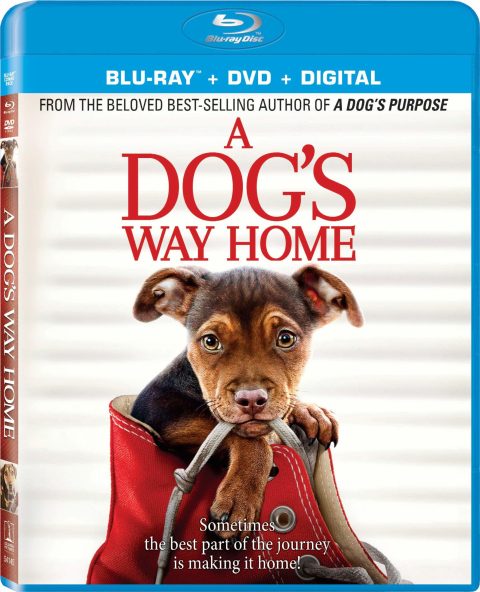 1 A Dog's Way Home Blu-Ray + DVD