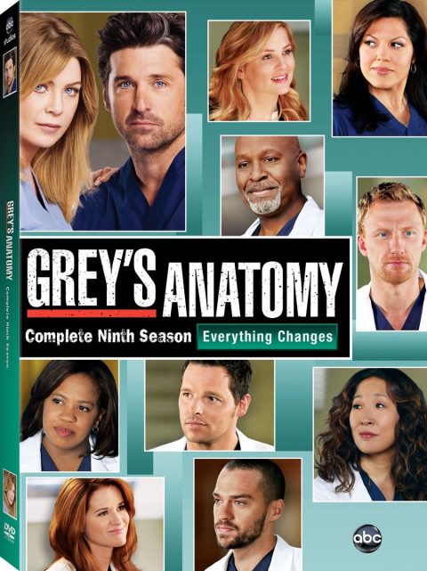 Grey's Anatomy: Complete Ninth Season DVD