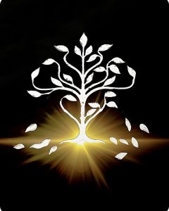 Hereditary Blu-Ray (Limited Edition SteelBook) (UK)