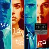 Wild Things UHD4K Arrow Limited Edition