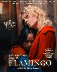 [PREVENTA] La Misteriosa Mirada del Flamenco (The Mysterious Gaze of the Flamingo) Blu-Ray