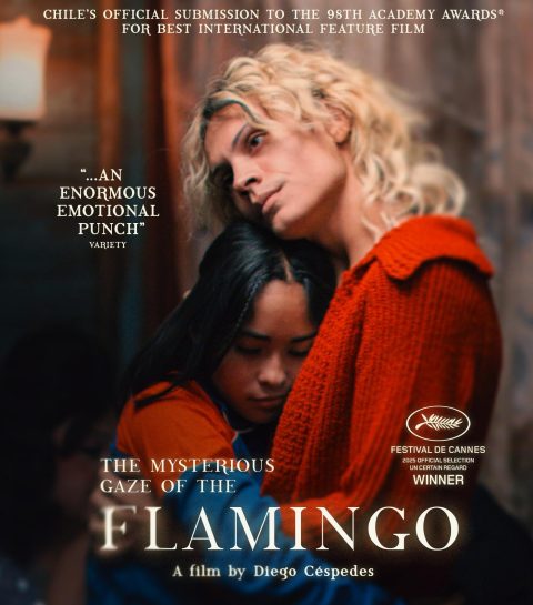 34 La Misteriosa Mirada del Flamenco (The Mysterious Gaze of the Flamingo) Blu-Ray