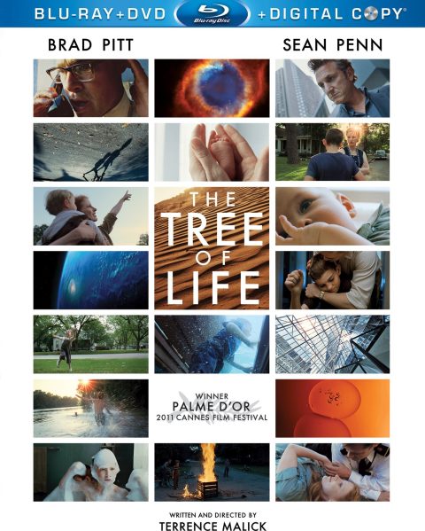 6 The Tree of Life Blu-Ray + DVD