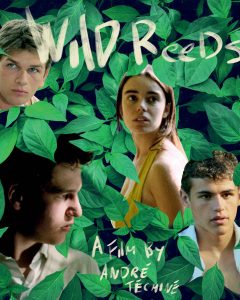Les Roseaux Sauvages (Wild Reeds) Blu-Ray