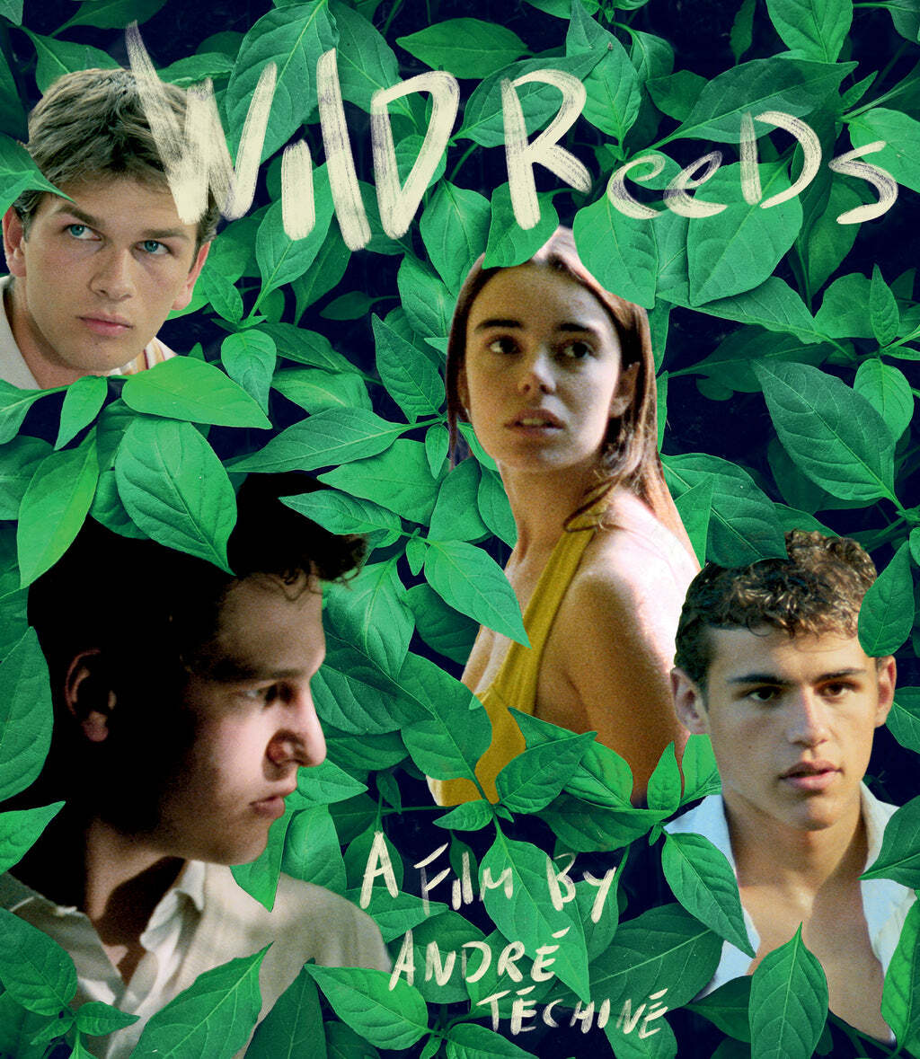 Les Roseaux Sauvages (Wild Reeds) Blu-Ray